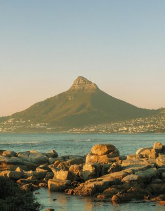 pexels-israel-luvhimbi-518867264-32495850 pexels-israel-luvhimbi-518867264-32495850